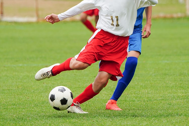 スポーツ